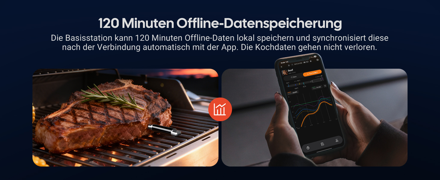Термометр для м'яса INKBIRD INT-31-BW: бездротовий, Wi-Fi, Bluetooth, для приготування на грилі, в духовці, мангалі, фритюрниці