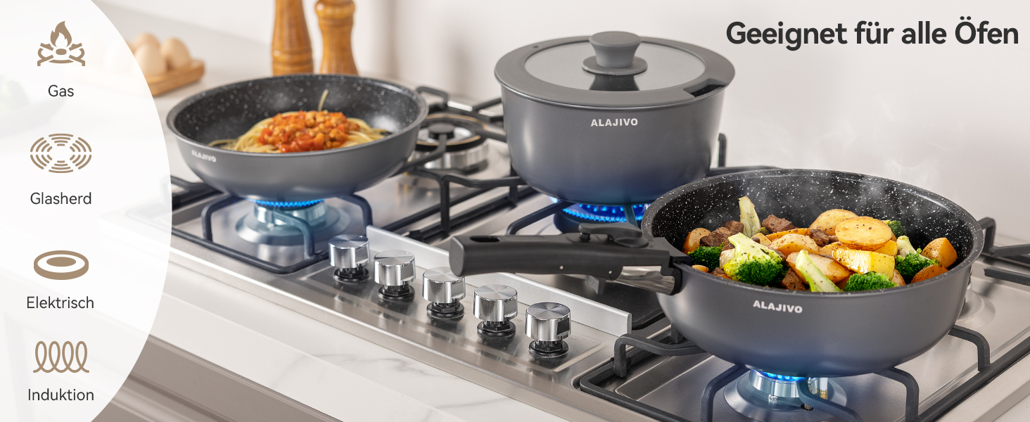 Набір посуду 17 частин з знімним ручками, антипригарне покриття, для всіх типів плит, включаючи індукційні, сумісний з духовкою (сірий)