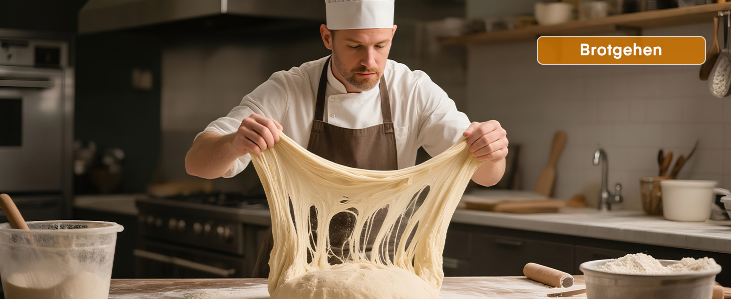 Електричний дегідратор FOHERE з нержавіючої сталі, 650W, 8 ярусів, таймер 48h, 35-75°C - для овочів, м'яса, трав, здорових перекусів та кемпінгу