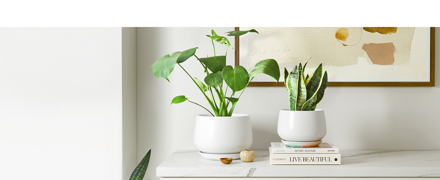 Керамічні горщики LE TAUCI з підставкою, 10+13+16 см, набір з 3 горщиків для кімнатних рослин, з дренажним отвором (білий)