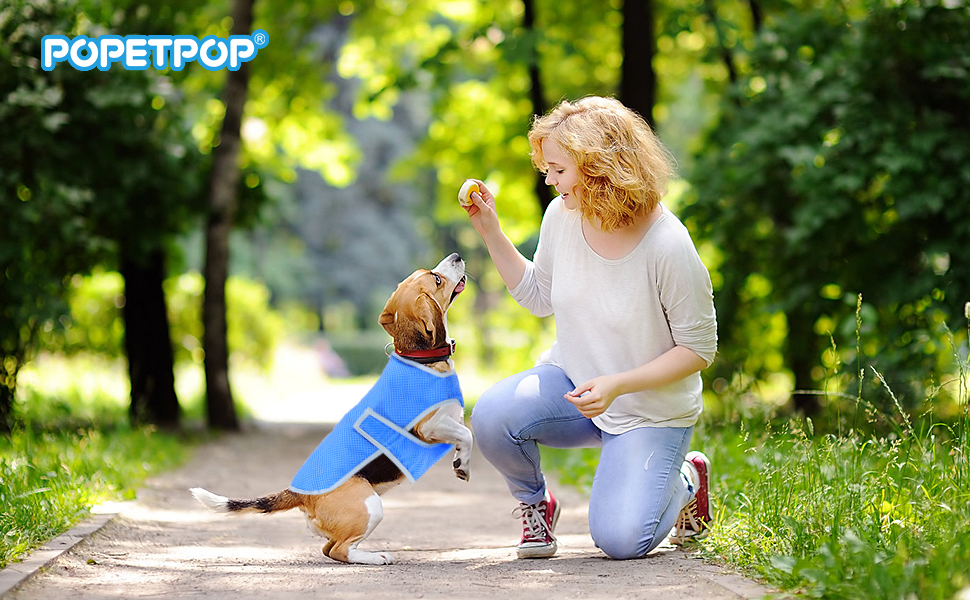 Охолоджуючий комбінезон для собак POPETPOP, легка куртка-кулер, шлейка для домашніх тварин для маленьких і середніх собак (розмір) (L)