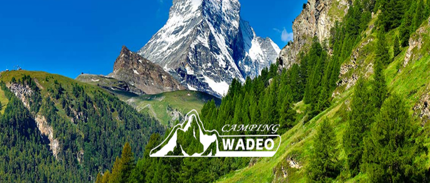 Портативна душова кабіна WADEO з акумулятором, помпою та підсвічуванням, 120 хвилин роботи, LED-підсвічування, комплект з 2м шлангом, насадкою та відром для саду, миття авто, тварин, пляжу та подорожей, срільно-чорний колір