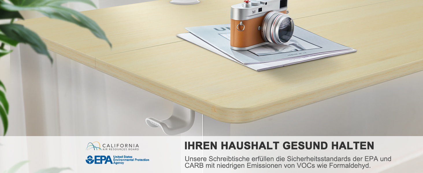 Електричний регульований стіл ErGear 120 x 60 см з пам'яттю, для дому та офісу, світле дерево