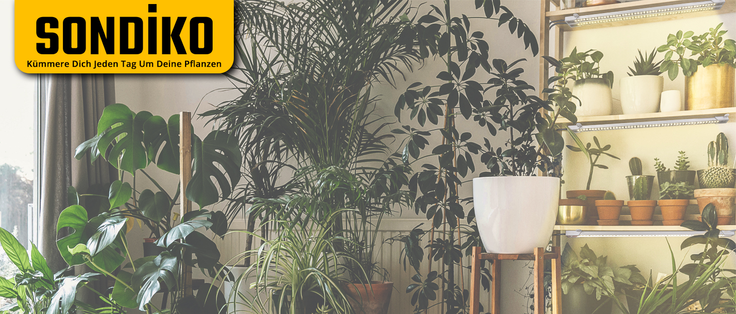 Система гідропоніки Sonidko для вирощування розсади з LED-лампою 48W, авто-таймером та регулюванням висоти, 5L резервуар