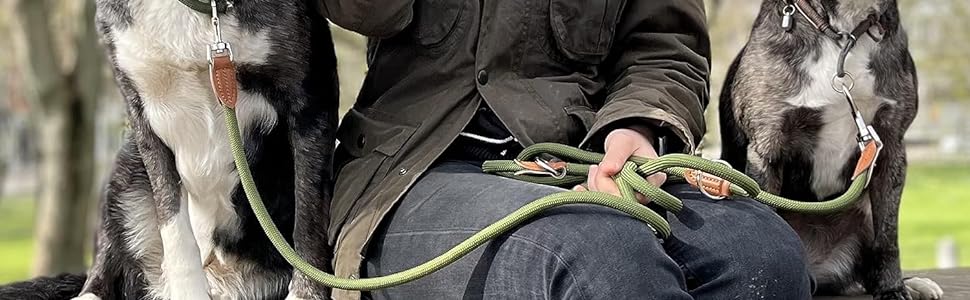 Безшумний зелений повідець для маленьких собак, 3 м, регульований, 2 карабіни, 200 г, модель Девон