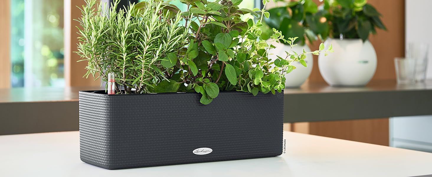 Горщик LECHUZA CUBE Color Triple білий 13680, 40x14x13,5 см - для квітів та зелені