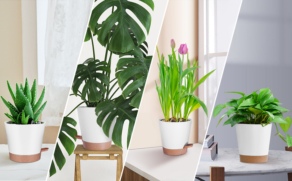 5 шт. пластикові горщики для квітів з системою поливу, 17.8/16.5/15.2/13.9/12.7 см. Самополивні кашпо з підставкою, круглі горщики для квітів, сукулентів, кактусів, кімнатних рослин, балкона та саду, зелені (білий, коричневий)