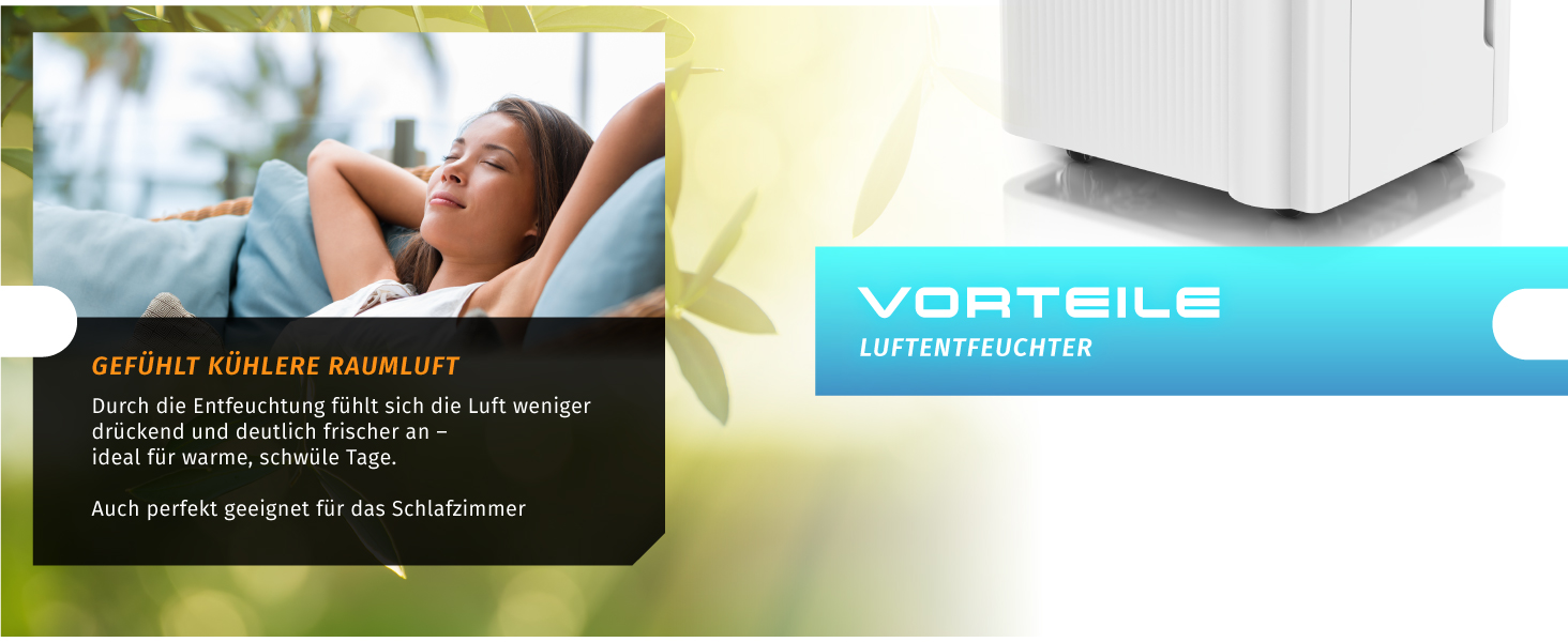 Електричний осушувач повітря Brandson з компресором, 12 літрів, Wi-Fi, з таймером, функцією відтавання, білий