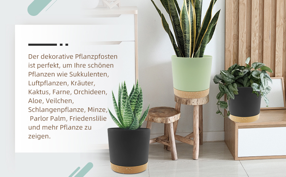 Набір горщиків для квітів QCQHDU 2 шт, 25.4 см, з дренажними отворами та знімним дном, підставки сучасного дизайну для дому та саду (світло-сірий)