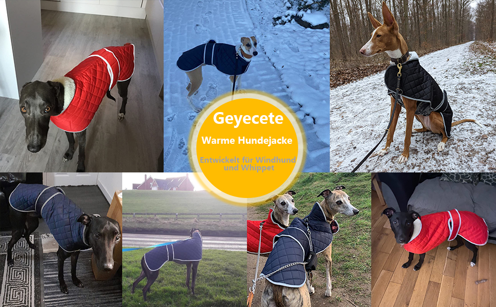 Зимове пальто Geyecete Greyhound, на товстій підкладці, регульоване, з отвором для шлейки (S, чорний)