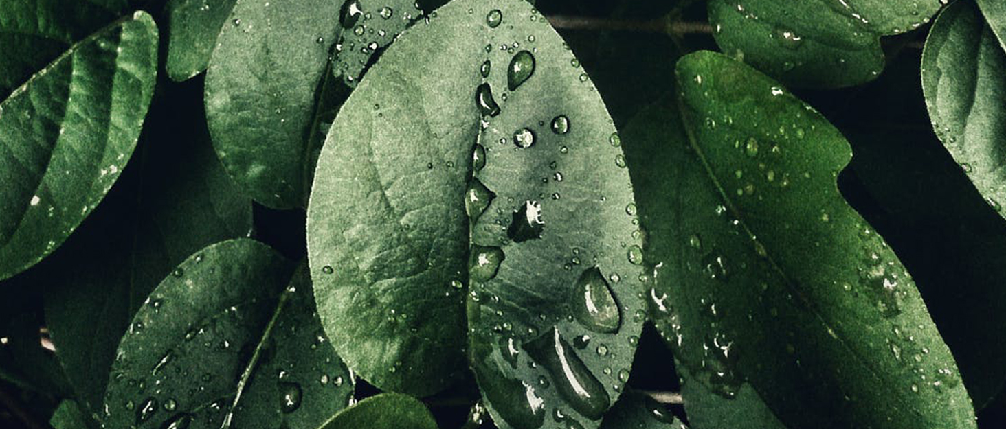 Набір садових меблів для балкона Allibert Iowa Rattan, сірий, 3 предмети - компактний комплект з ротангу