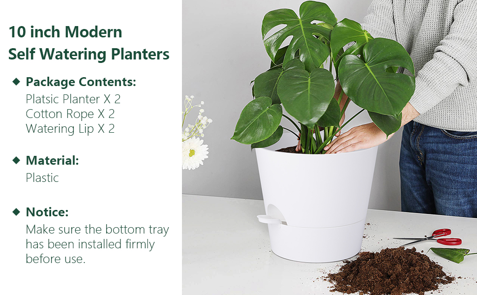 Набір з 2 горщиків для квітів 25.4 см, пластик, з системою поливу, для дому, балкону, саду, сукулентів, кактусів (зелений, білий)