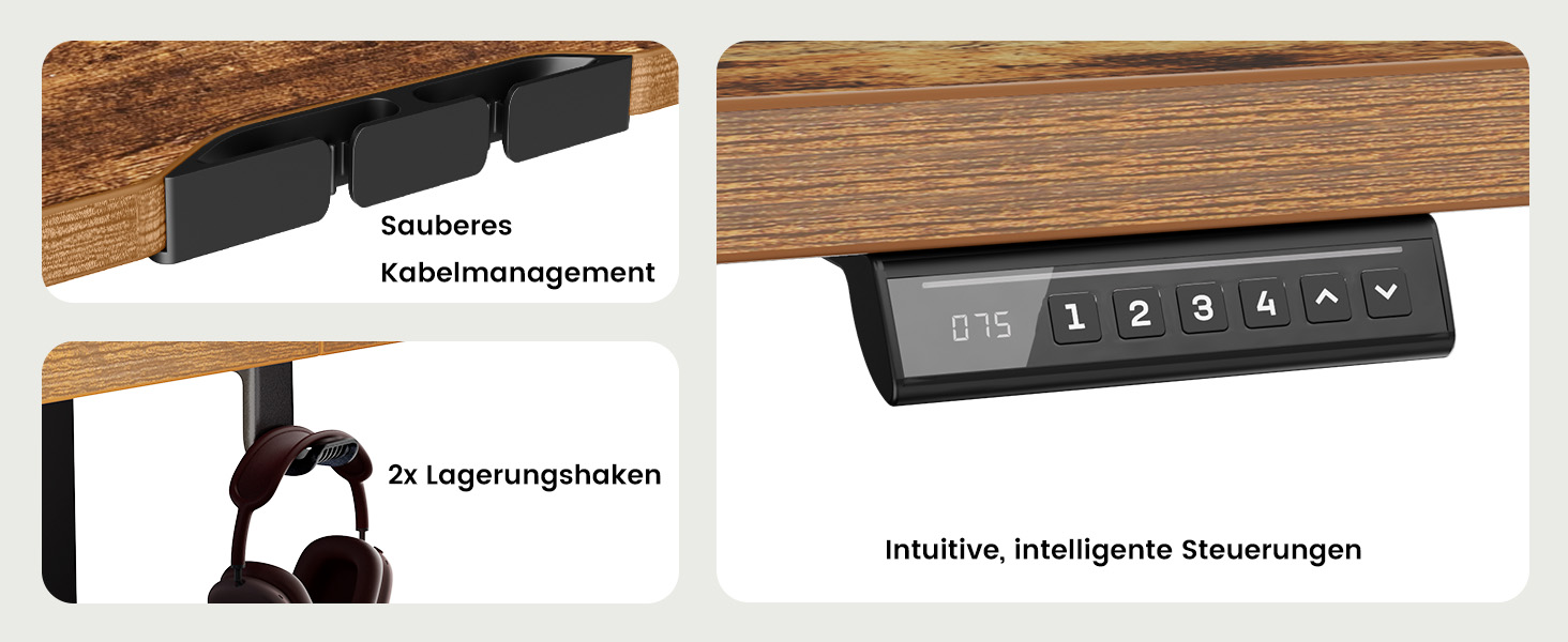 Електричний регульований стіл ErGear 160x80 см з 4-ма пам'ятними настройками, з'єднувальною пластиною, для дому та офісу, вінтажний колір дерева