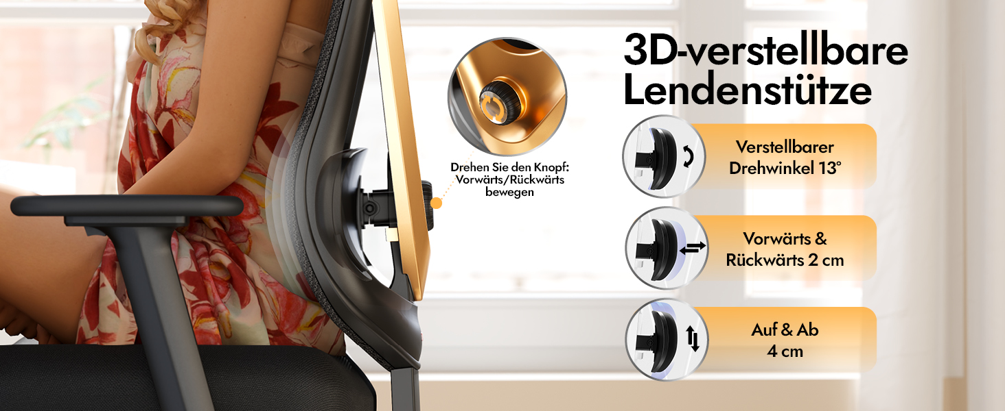 Ергономічне крісло для офісу та дому з 3D поперековою підтримкою та регульованими підлокітниками, біле (чорно-золоте)