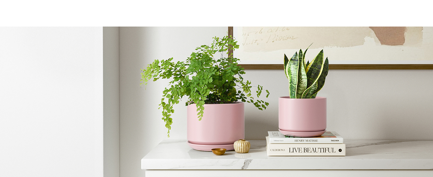 Набір горщиків для квітів LE TAUCI (3 шт.) з кераміки, діаметр 11, 13, 17 см, з підставками та дренажними отворами, реактивна глазур, бежево-рожевий