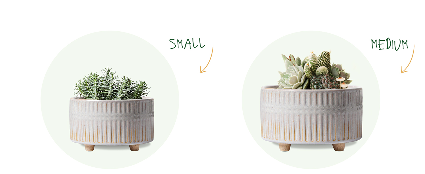 Набір горщиків для сукулентів LE TAUCI, 16,5+20 см, кераміка, з дренажними отворами, сучасний циліндричний дизайн, 2 шт. (білий зірка)