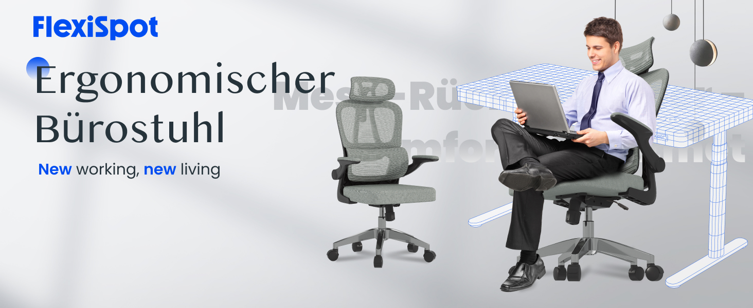Органічний офісний стіл FLEXISPOT з 2D-підголівником, відкидними підлокітниками та динамічною поперековою підтримкою. Стілець з функцією нахилу 120° для дому, офісу та робочого кабінету (51 x 73 x 115 см, сірий)