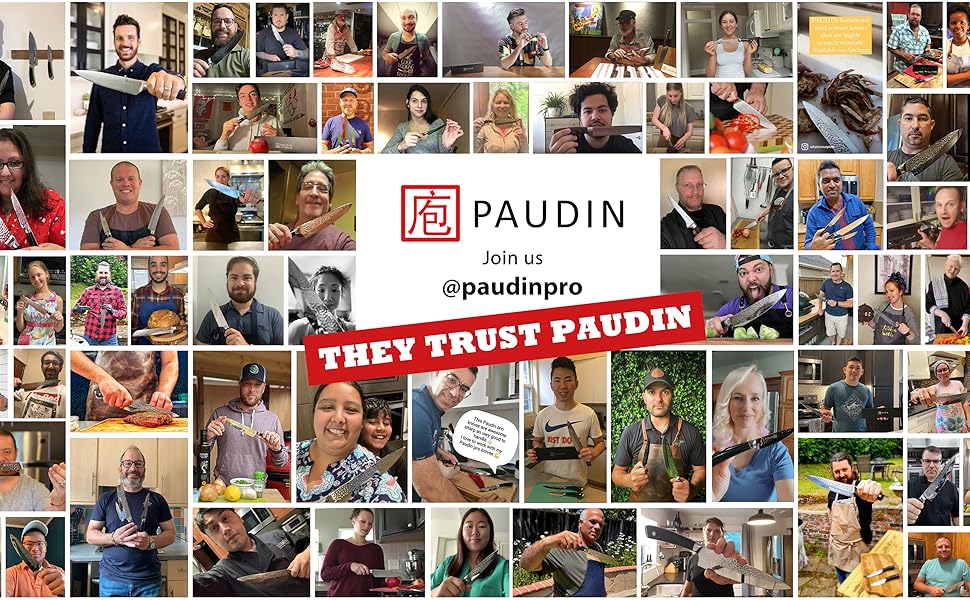 Набір кухонних ножів Paudin 14 предметів з нержавіючої сталі 1.4116 з дерев'яним блоком, точилка та ножиці, антикорозійний, надзвичайно гострий, для дому та професійного використання, FDA, ідеальний подарунок (сріблястий)