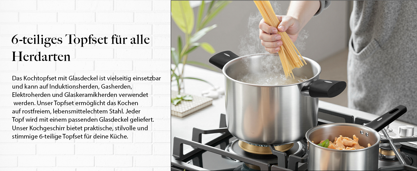 Набір каструль 6 шт. з нержавіючої сталі для індукційних плит, Cookware Set, нержавіюча сталь, без антипригарного покриття, сумісний з усіма типами плит, з кришкою та захистом від опіків, для посудомийної машини