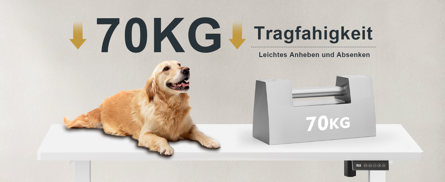 Електричний регульований стіл Flamaker з телескопічною основою та пам'яттю, білий