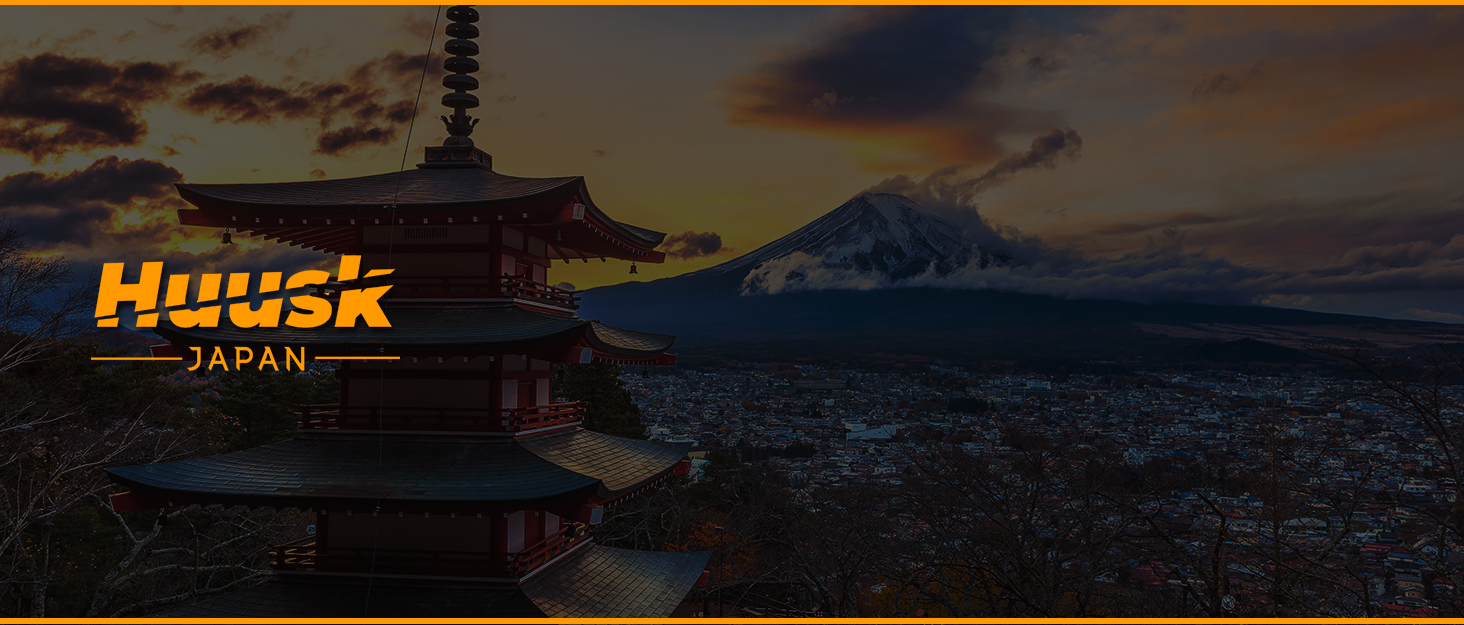 Японський ніж Huusk Kochmesser: професійний кухонний ніж для нарізки та подрібнення, оригінальна японська сталь, висока гострота