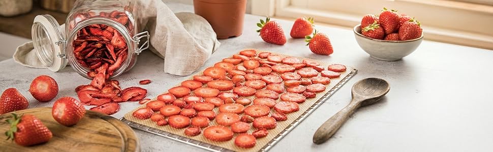 Сушарка для фруктів та овочів KRAMER W з таймером 24h та регулюванням температури 35-70°C, 5 висувних полиць, корпус з нержавіючої сталі, без BPA