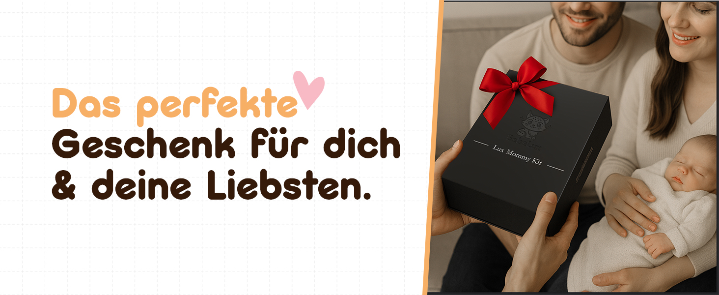 Підігрівач для дитячих пляшечок BEBELUX LUX MOM KIT – Електричний, USB-C, 36W, BPA-free, з терморегулятором, акумуляторний (Чорний)