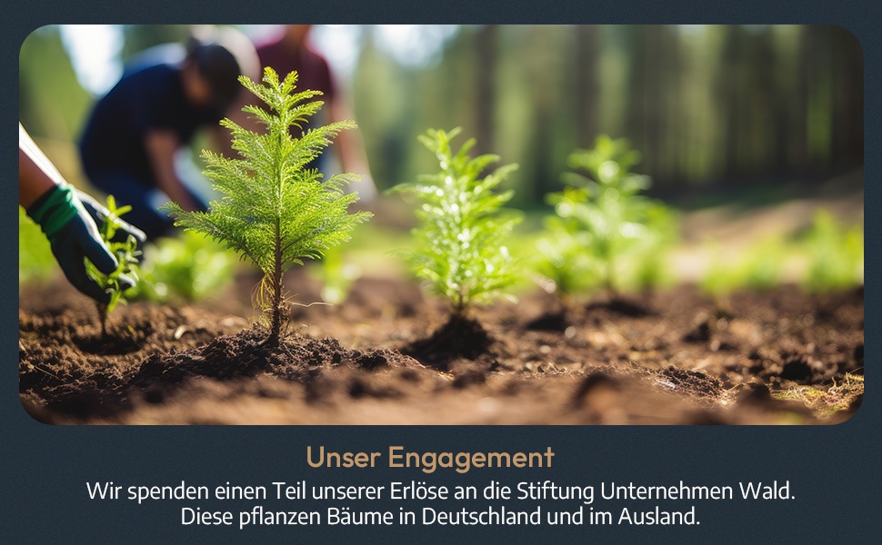 Набір для солі та перцю WALDLAND® з дерева з підставкою (21 см) | Мельниці для спецій з керамічним механізмом | Набір перчниці та солізниці