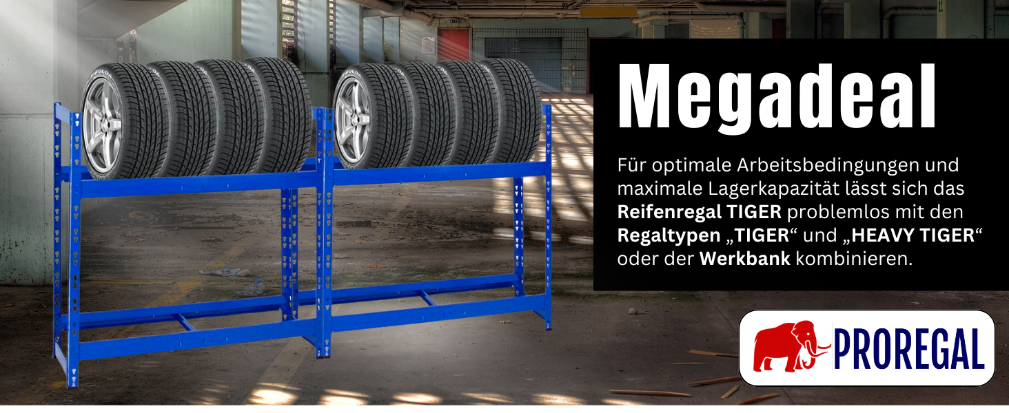 Стелаж для шин PROREGAL Tiger: 100x110x35 см, 150 кг навантаження, 8 шин, 2 рівні, блакитний