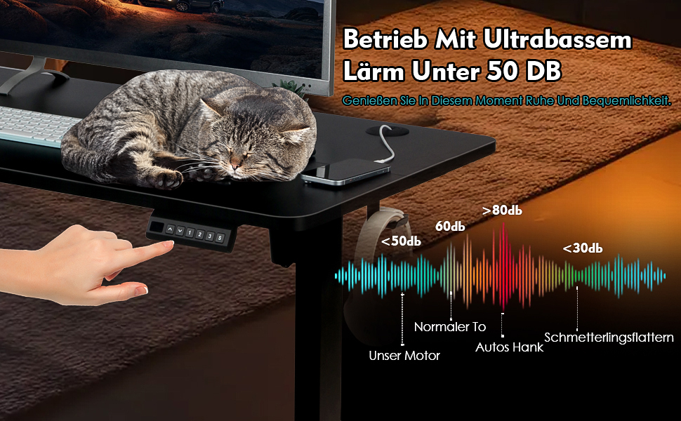 PACHIRA Електричний регульований стіл, 120x60 см, з пам'яттю та LED-дисплеєм, з гачком та кабелеуправлінням, ергономічний для дому/офісу, білий/чорний