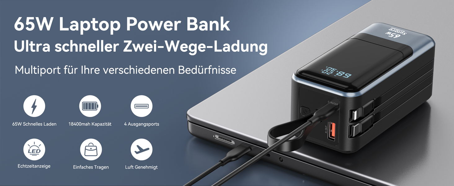 Power Bank Selore&S 65W з USB-C, 4 порти, для iPhone, Galaxy, MacBook, iPad, дронів, чорний
