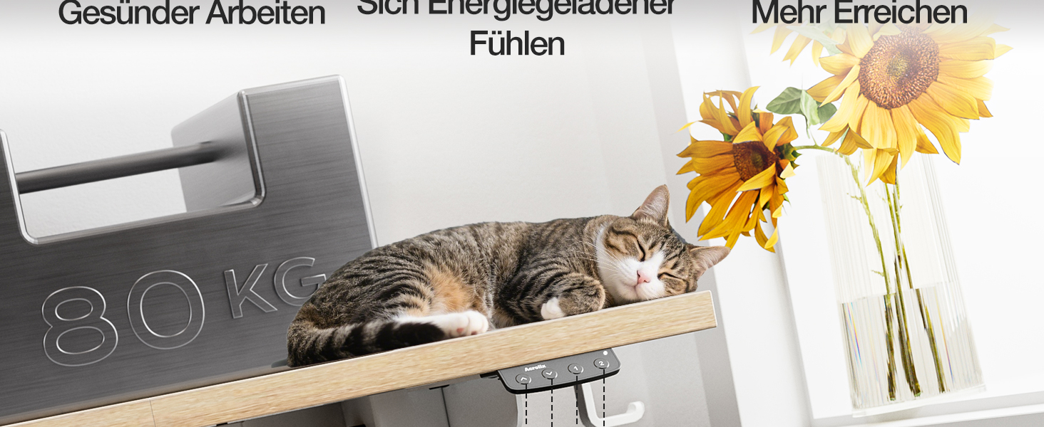 Регульований стіл 120x60 см, електричний з функцією пам'яті, стоячий/сидячий комп'ютерний стіл. Керування кабелями та гачки, регульований підйомний стіл для офісу та дому – Білий. (Світло-русявий, 100 см)