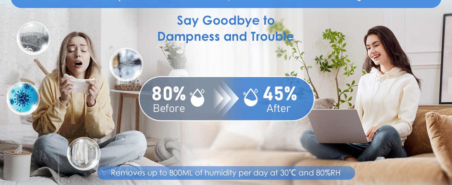 Електричний осушувач повітря 2500 мл, 3 швидкості, 2 режими, таймер 48 год, авто-стоп, захист від замерзання, для спальні та ванної кімнати