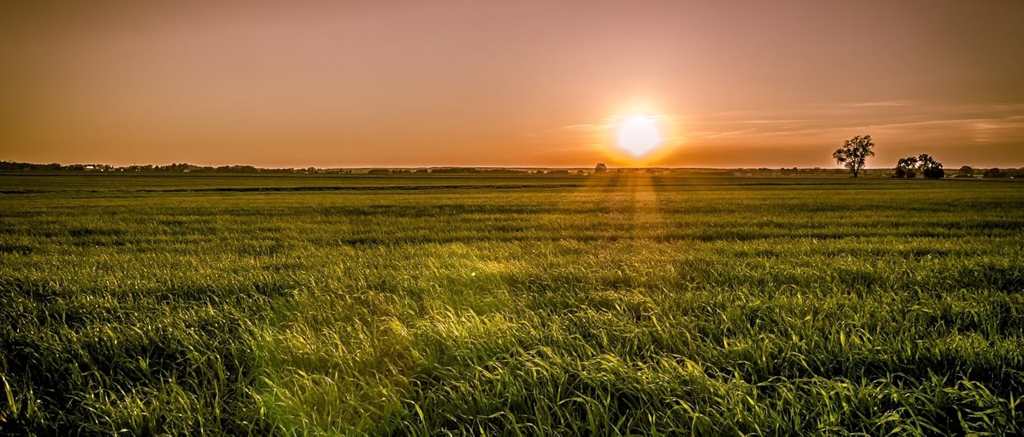 Дитяча лавка-сховище 