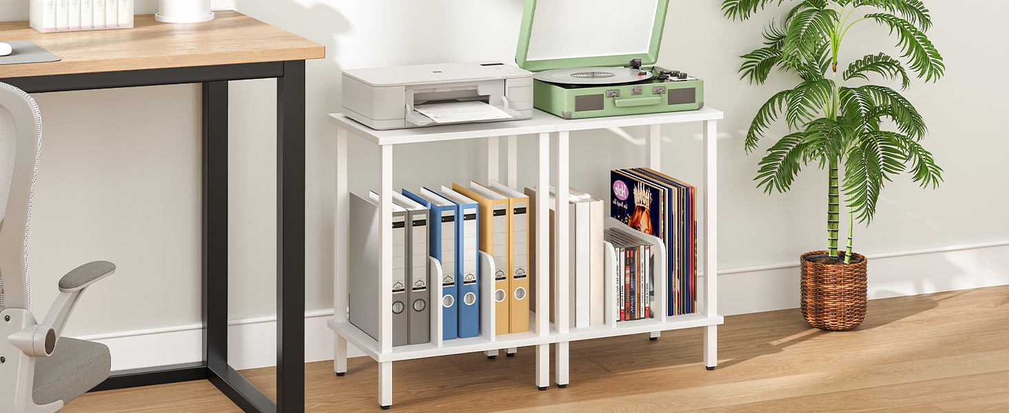 HOOBRO Стійка для програвачів, полиця для платівок, приліжкова тумбочка, полиця для платівок з перегородками, органайзер для платівок, до 100 альбомів, для вітальні, EBK05RS01 (Білий)