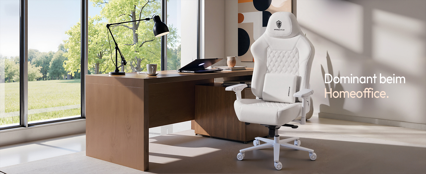 Ігровий крісло Dowinx для геймерів Esport, ергономічний офісний крісло з підлокітниками 4D та масажем попереку, витримує до 200 кг, регульована висота (білий)