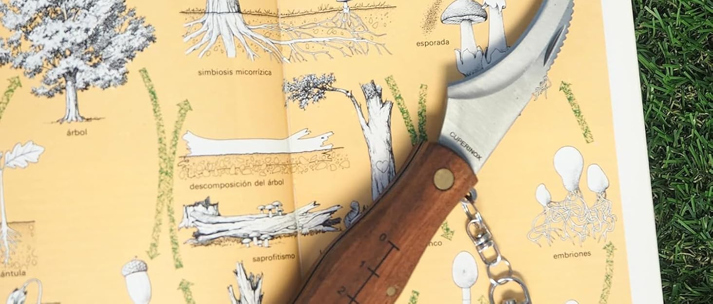 Підставка для шинки CUPERINOX з бамбука, складна та обертова, з професійним ножем, кришка для шинки | Elite Collection