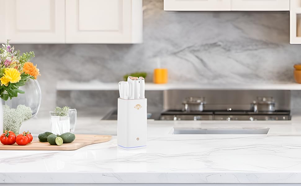 Набір ножів ZEEKMUSS: 6 ножів, точилка, кухові ножі з нержавіючої сталі, кухові ножі, кухорі ножиці, брусок для заточування, кухонні аксесуари, подарунок (чорний)