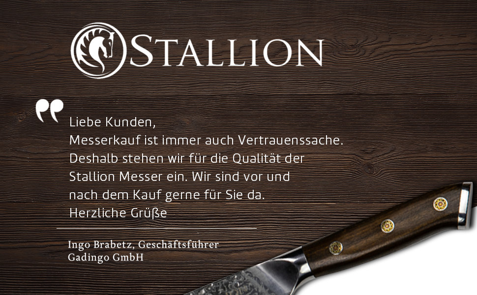 Набір кухонних ножів Stallion Damast з ручкою Ironwood - Японський дамаський сталь VG10, V-подібний край 10 градусів