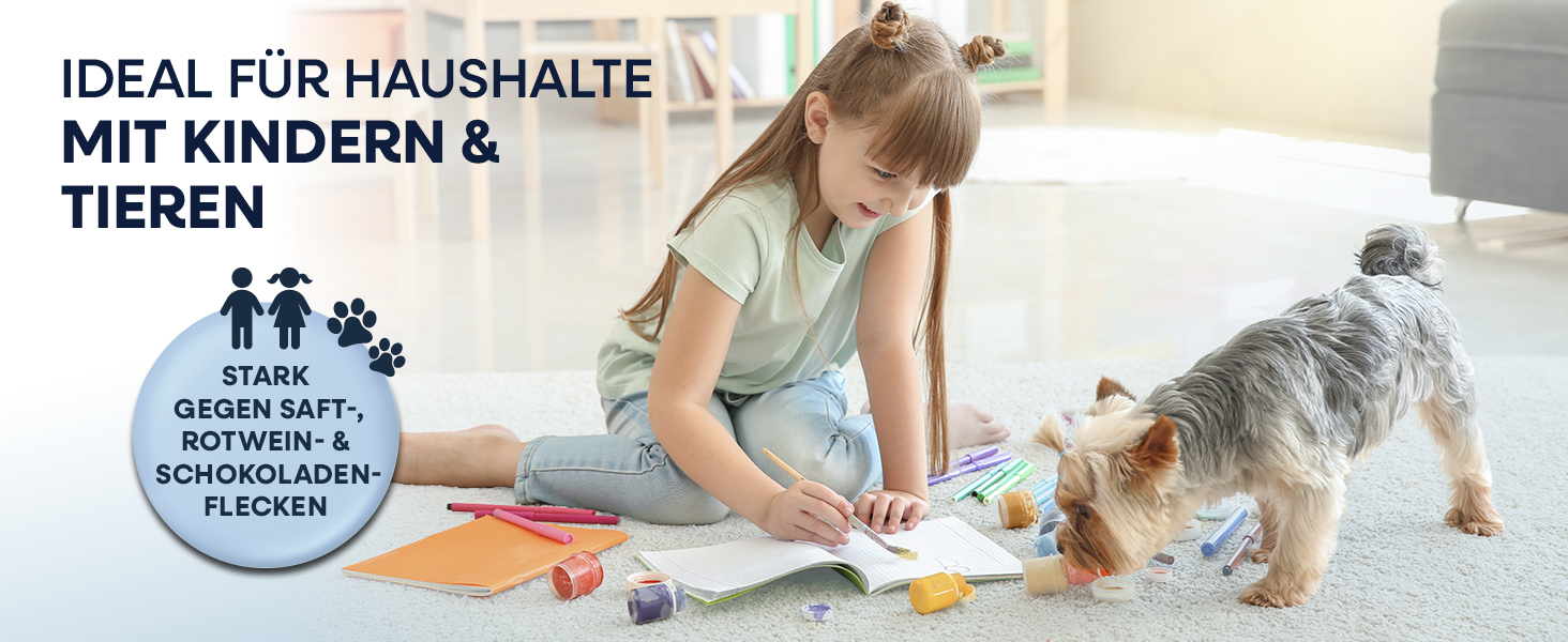 CLEANmaxx Професійний пароочисник та чисник для килимів та м'яких меблів | Пароочисник для плям | EASYmaxx засіб для чищення килимів | Для диванів, авто, килимів, м'яких меблів | Чорний, компактний, 330W