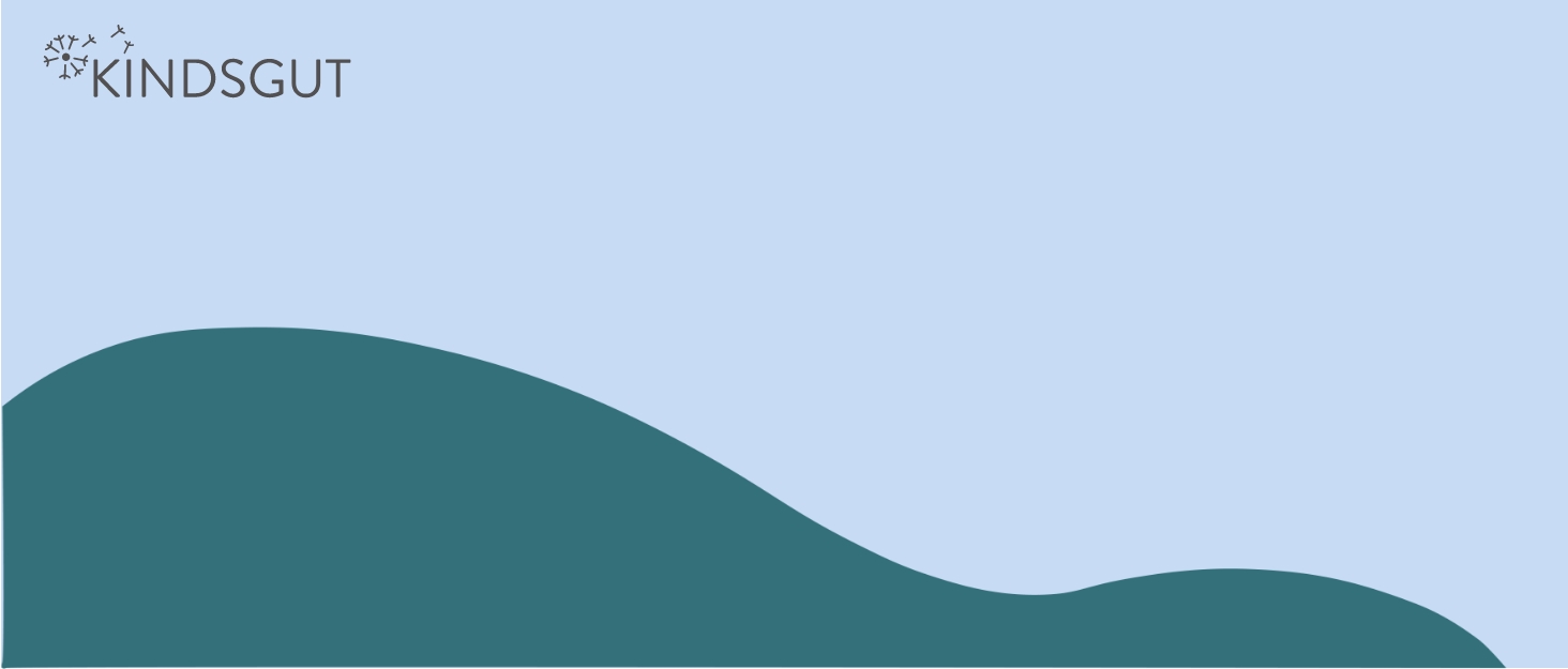 Насадка на унітаз Kindsgut 