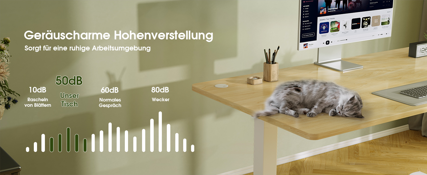 Електричний стіл Flamaker з регулюванням висоти, 160 x 60 см, з пам'яттю, для геймінгу, USB-зарядка (Бежевий)