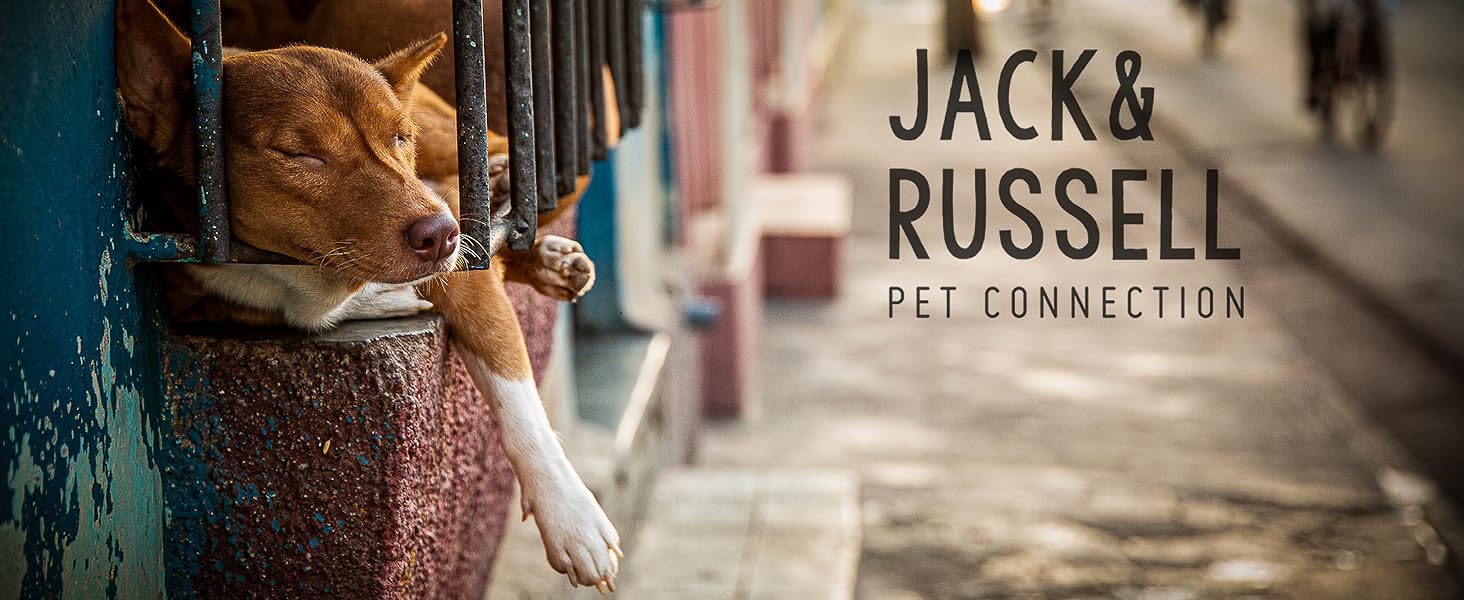 Базовий повідок для собак Jack&Russell