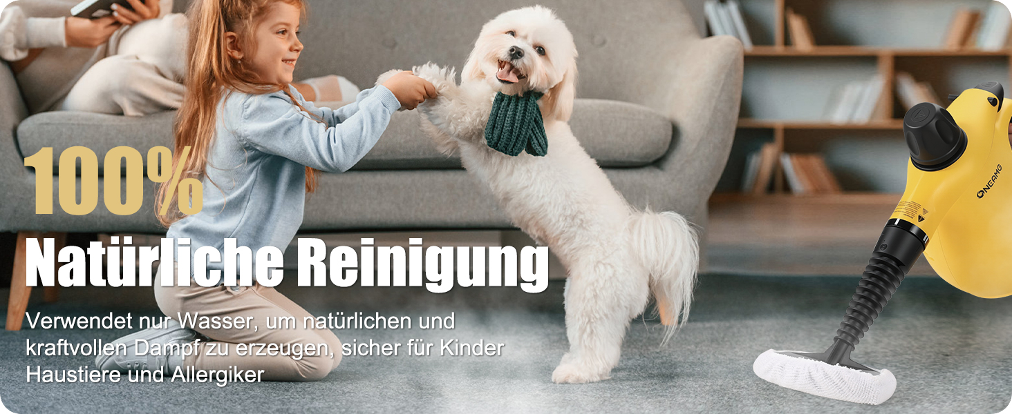 Портативний пароочисник 450 мл з 10 насадками та блокуванням безпеки. Швидкий нагрів. Універсальний пароочисник для дому, авто, кухні та підлоги.