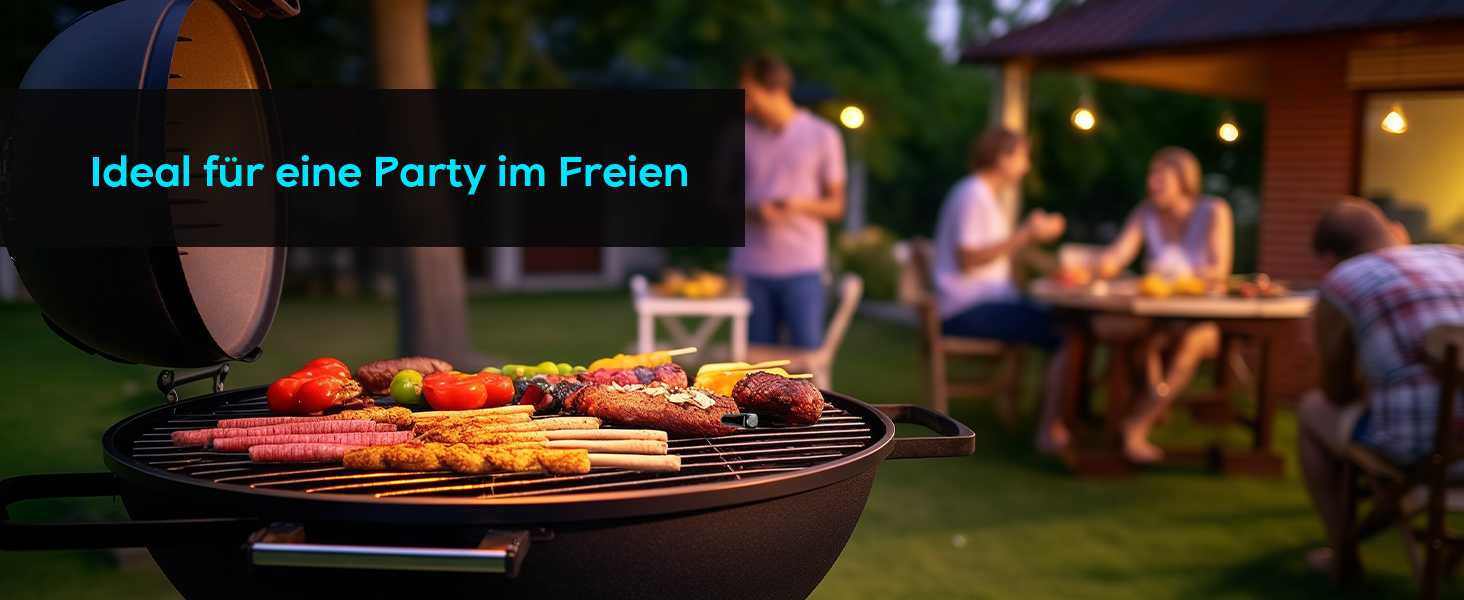 Бездротовий термометр Inkbird для м'яса з Bluetooth, IP67, 91м, для гриля, BBQ, духовки, копчення, ротисерії (INT-11X-B)