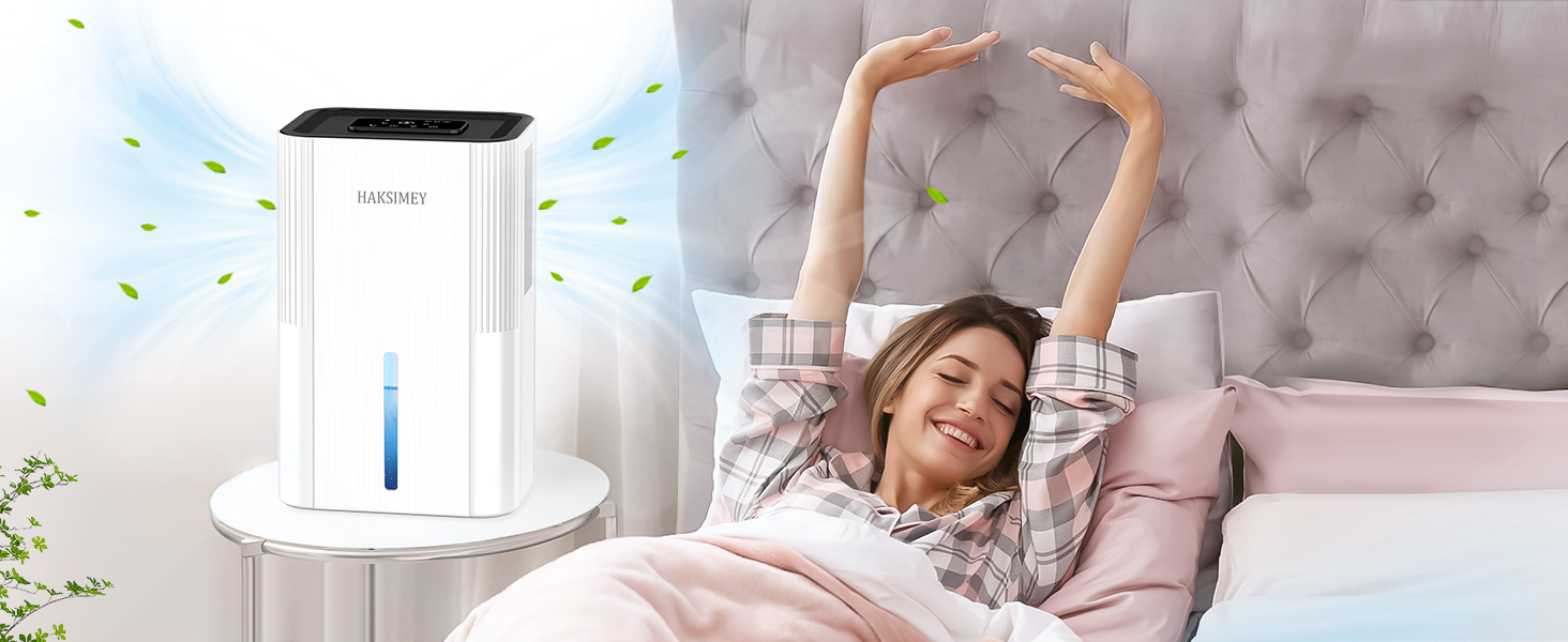 Електричний осушувач повітря 2800 мл з функцією відтавання та таймером, тихий осушувач для дому, підходить для підвалу, ванної кімнати, з 7-кольоровим LED-підсвічуванням та нічним режимом