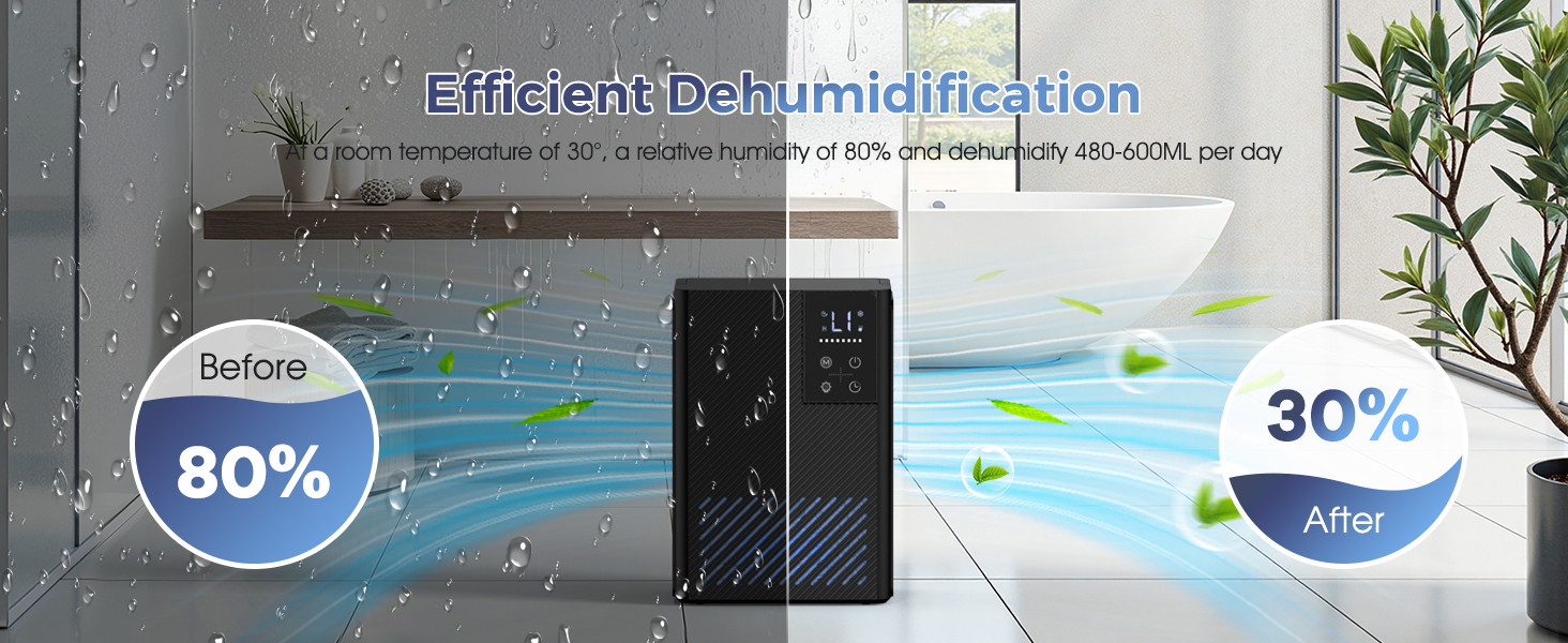 Електричний осушувач повітря, тихий, 2.5L з LED дисплеєм, автоматичне відтанення, проти вологи та плісняви, енергозберігаючий, чорний