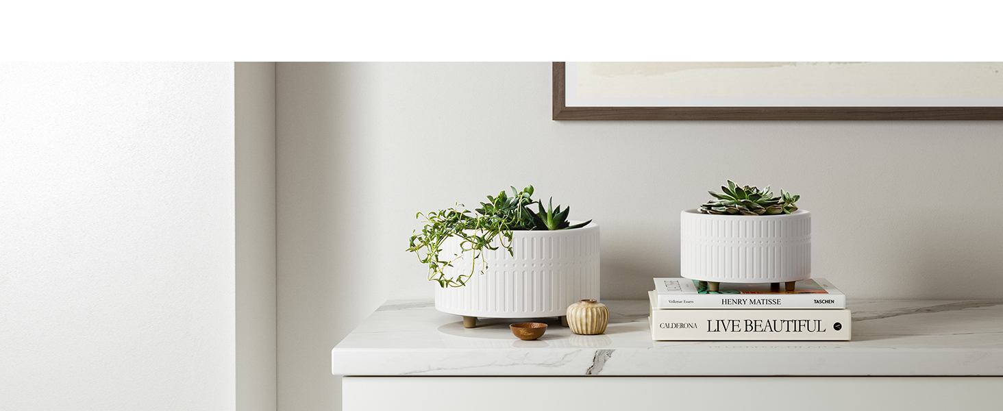 Набір горщиків для сукулентів LE TAUCI, 16,5+20 см, кераміка, для дому, з дренажними отворами, сучасний циліндричний дизайн, 2 шт. (білий)