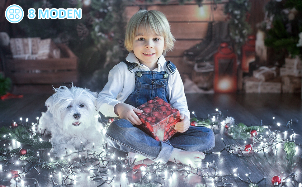 Світлодіодна гірлянда вулична 30м 1000 LED, водонепроникна LED-гірлянда з пультом та таймером, 8 режимів роботи для саду, балкона та новорічного декору (Білий колір)