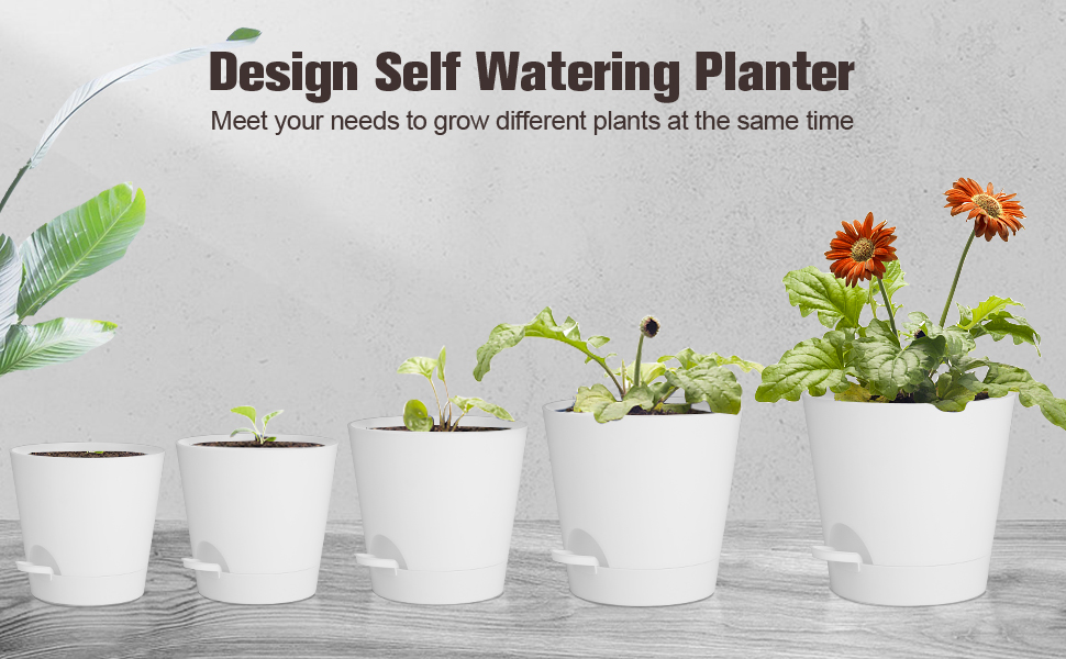 5 шт. пластикові горщики для квітів з системою поливу, 17.8/16.5/15.2/13.9/12.7 см. Самополивні горщики з підставкою, круглі, для дому, балкону, саду, сукулентів, кактусів, зелені (білі)